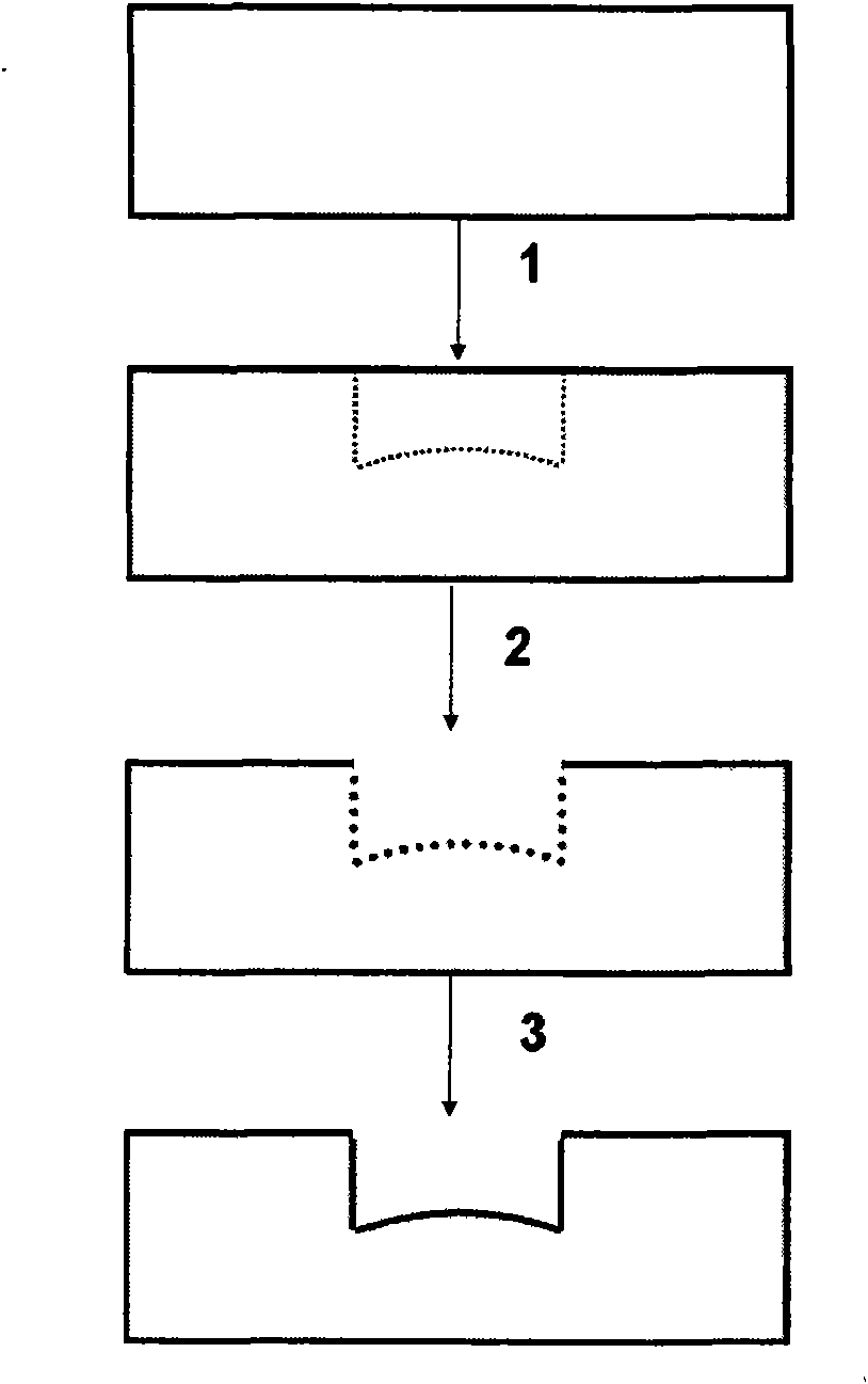 Method for preparing micro optical element on quartz glass substrate by applying femto-second laser