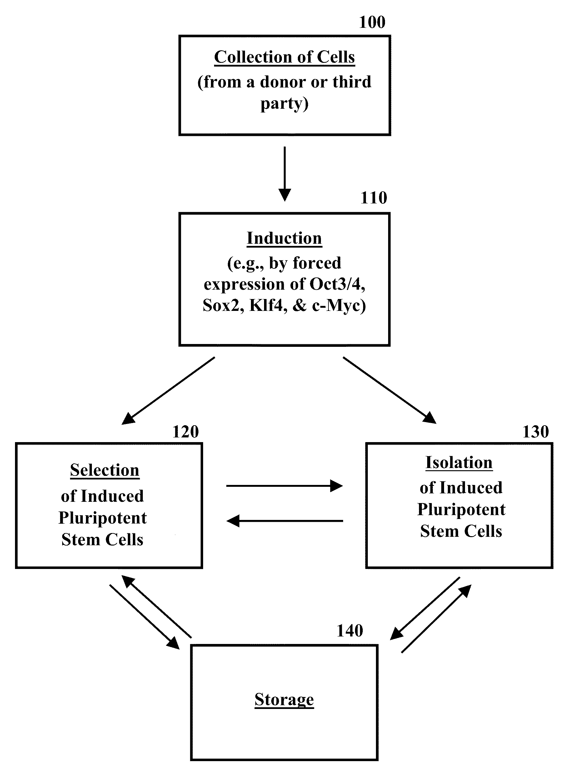 Methods and compositions for selection of stem cells