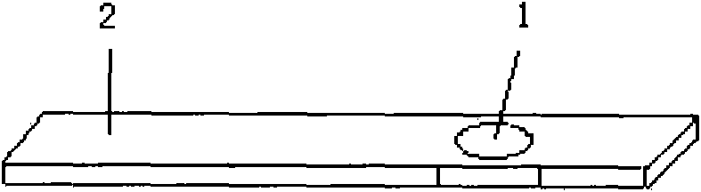 Dry chemistry test paper for quantitative determination of urea content in human blood