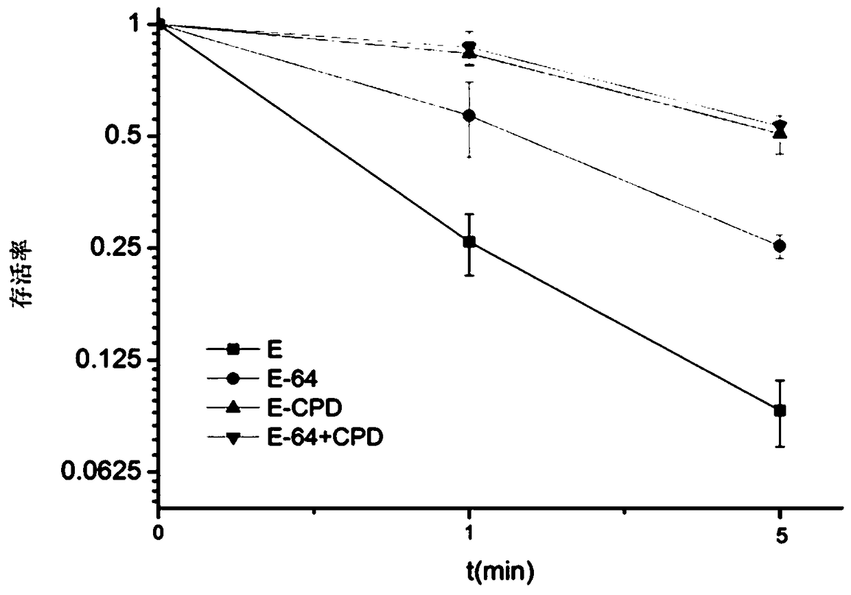 Mutant CPD photo-repair enzyme and 6-4 photo-repair enzyme double-plasmid co-expression bacterial strain and application thereof