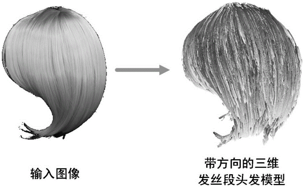 Vivid static-state hair modeling method based on multiple direction fields