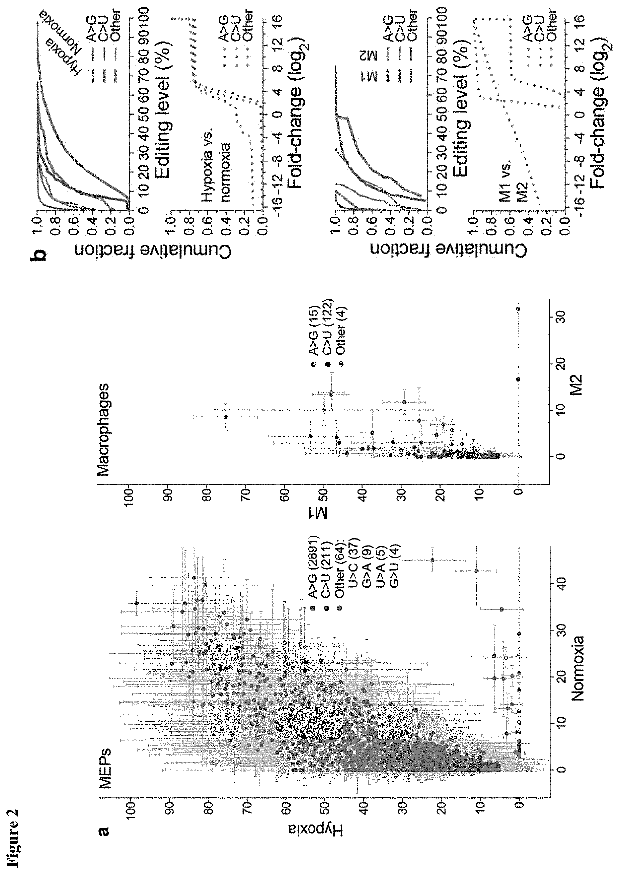 Inhibition of mitochondrial hypoxic stress induced RNA editing by apobec3g cytidine deaminase