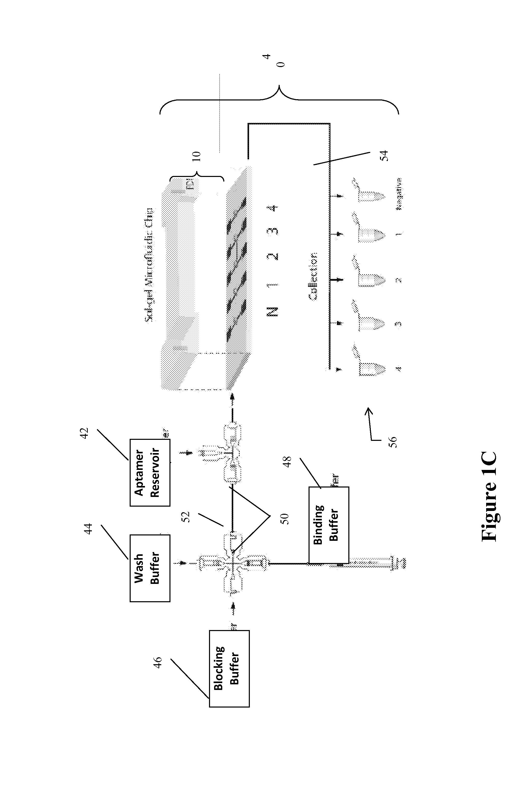 Device for rapid identification of nucleic acids for binding to specific chemical targets
