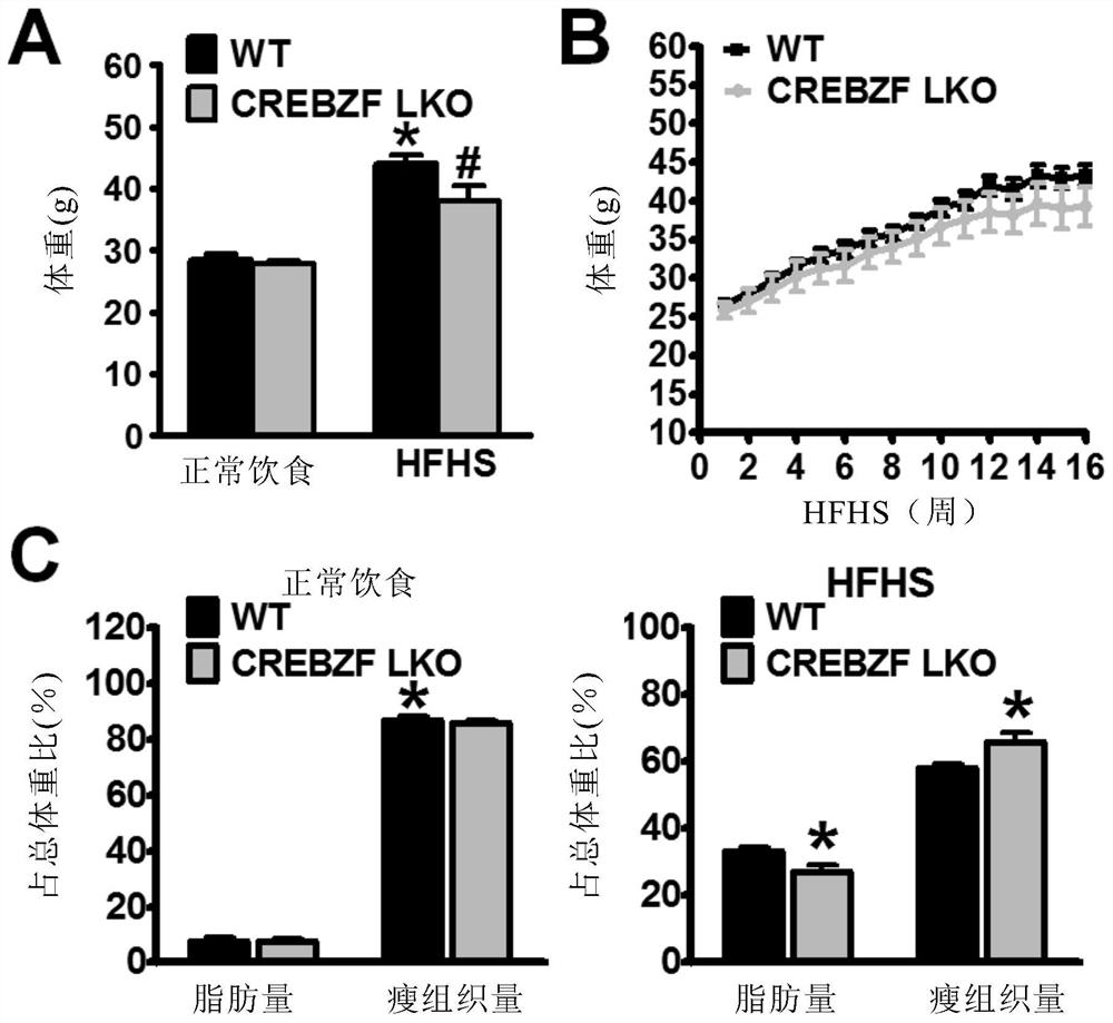 Application of crebzf in the treatment, prevention and diagnosis of metabolic diseases