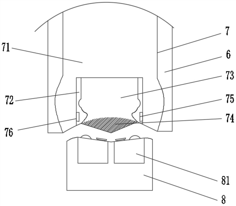 Computer case protection device for computer software and hardware