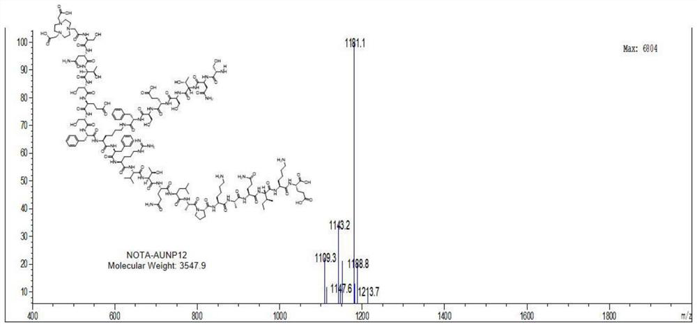 PET (Polyethylene Terephthalate) molecular probe taking PD-L1 pathway as target spot and application of PET molecular probe