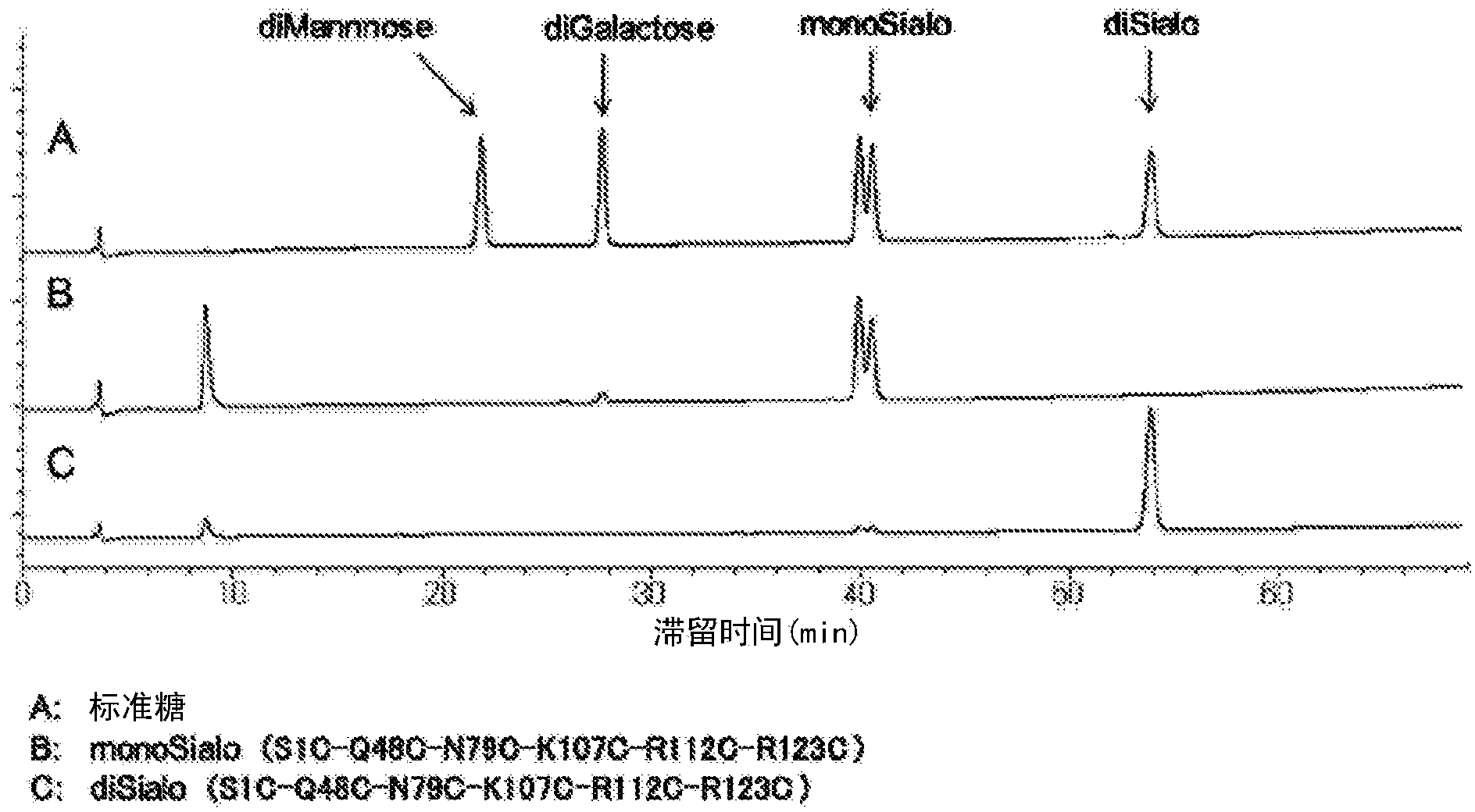 Polypeptide having sialylated sugar chains attached thereto