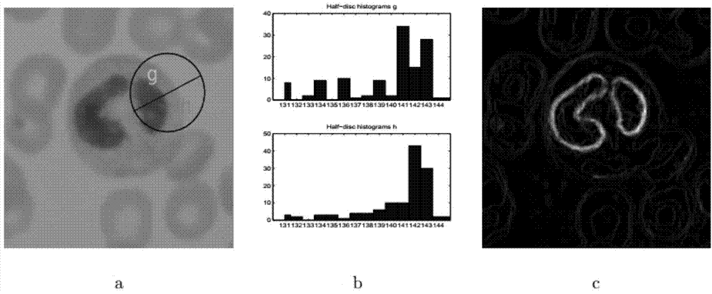 White cell segmentation method based on multi-feature nonlinear combination