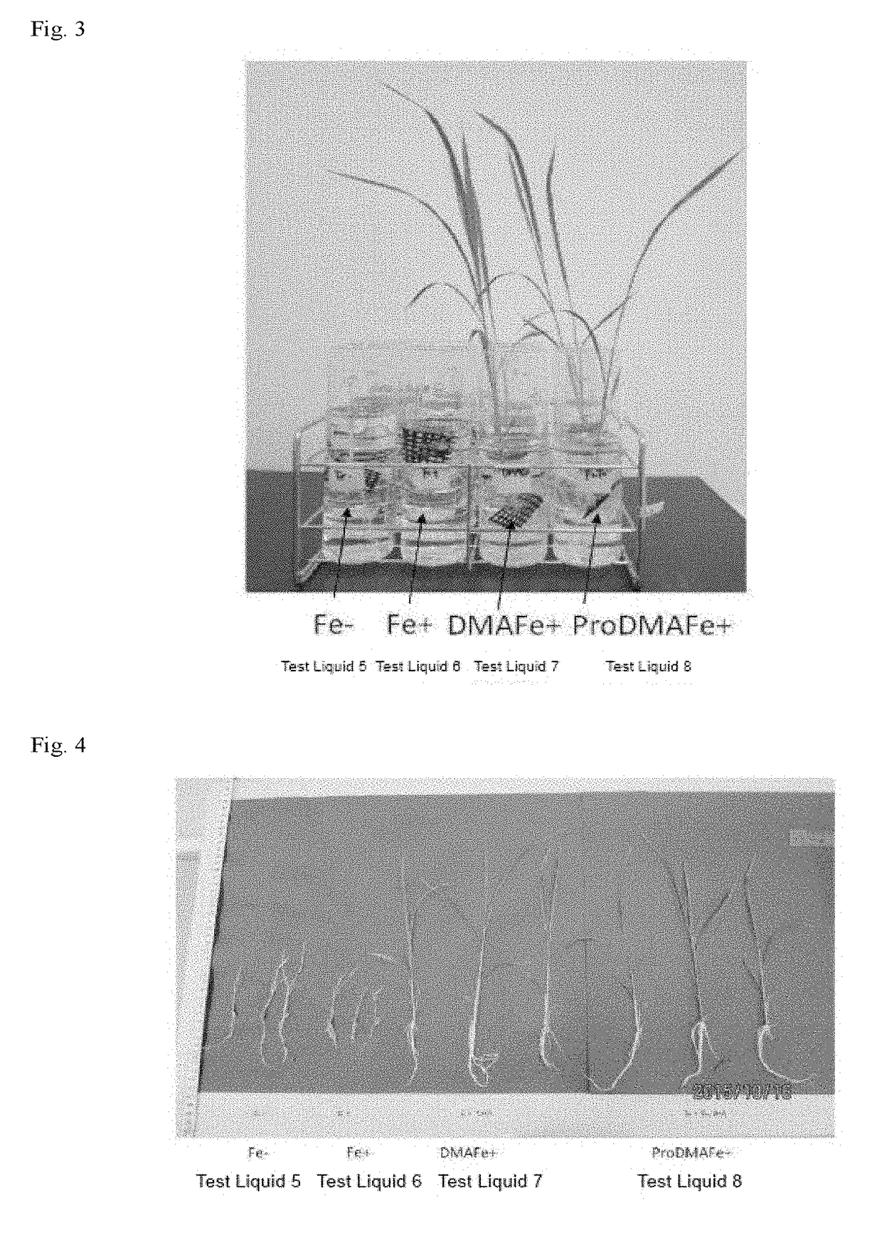 Novel heterocycle-containing amino acid compound and use thereof