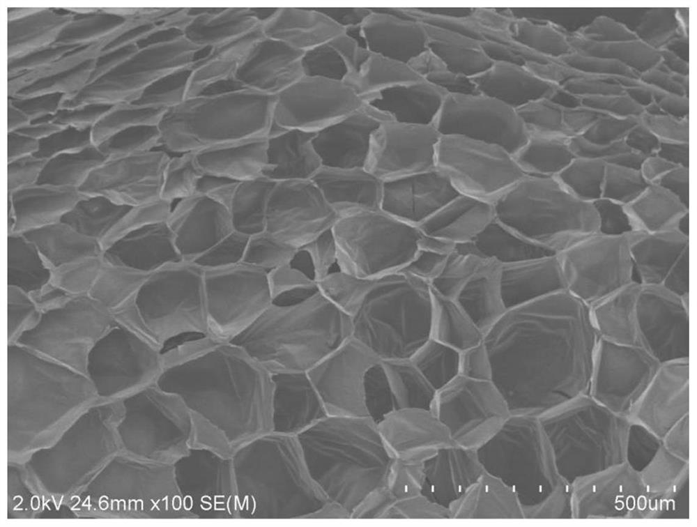 A preparation method of high-magnification conductive polypropylene foam beads