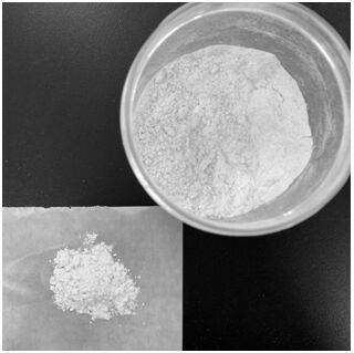 Processing method of pleurotus eryngii enzyme byproduct meal replacement powder