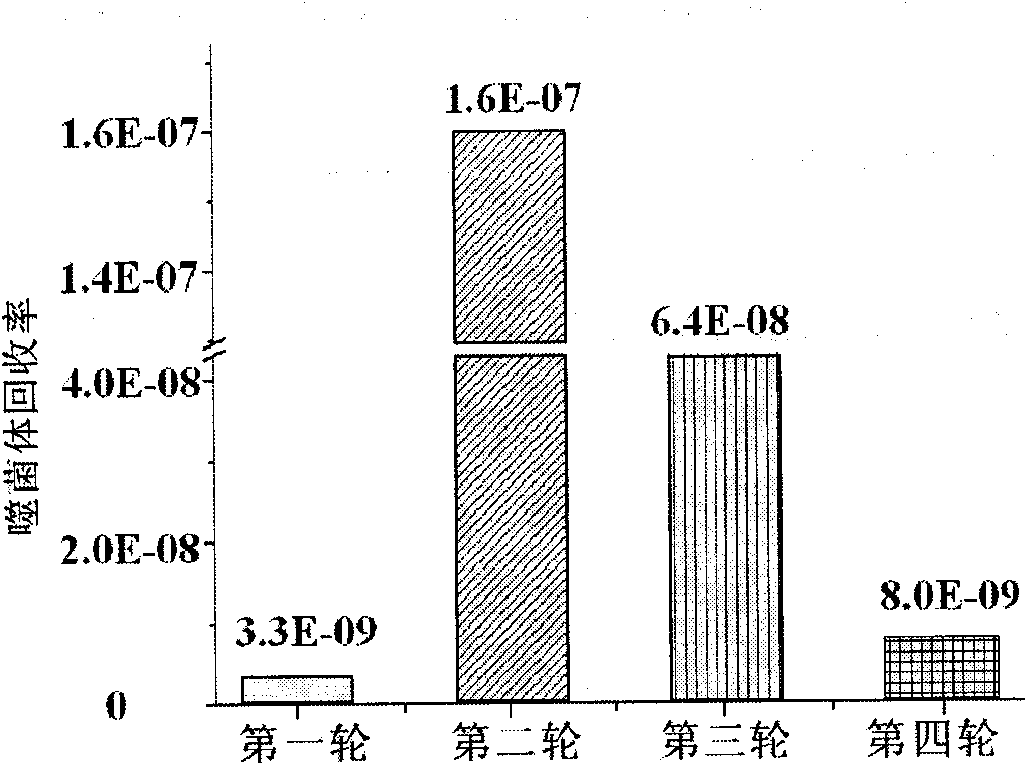 New cartilaginous affinity polypeptide sequence, screening method and application thereof
