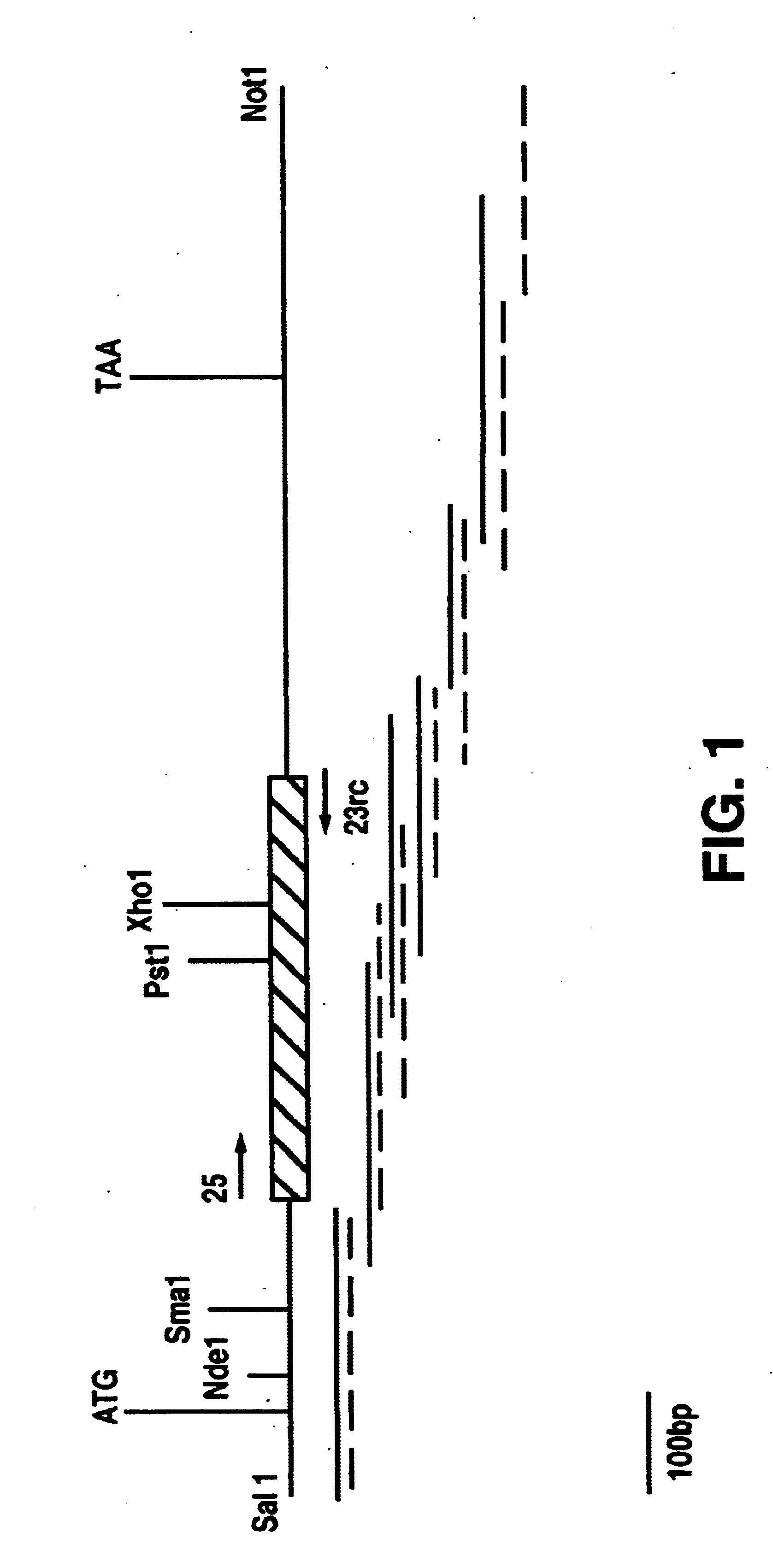 Compositions and methods for regulation of steroidogenesis