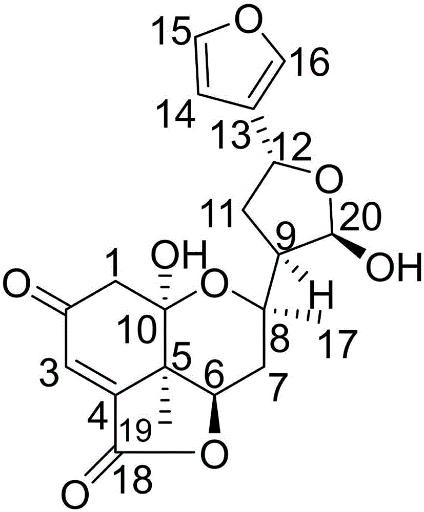 Clerodane type diterpene compound for treating neuroglioma