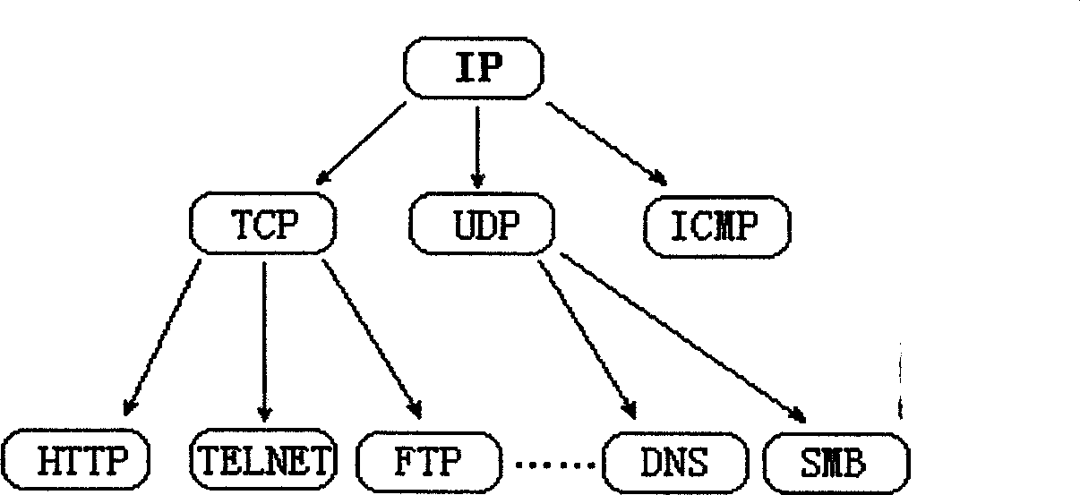 Hybrid intrusion detection method based on Internet protocol version 6