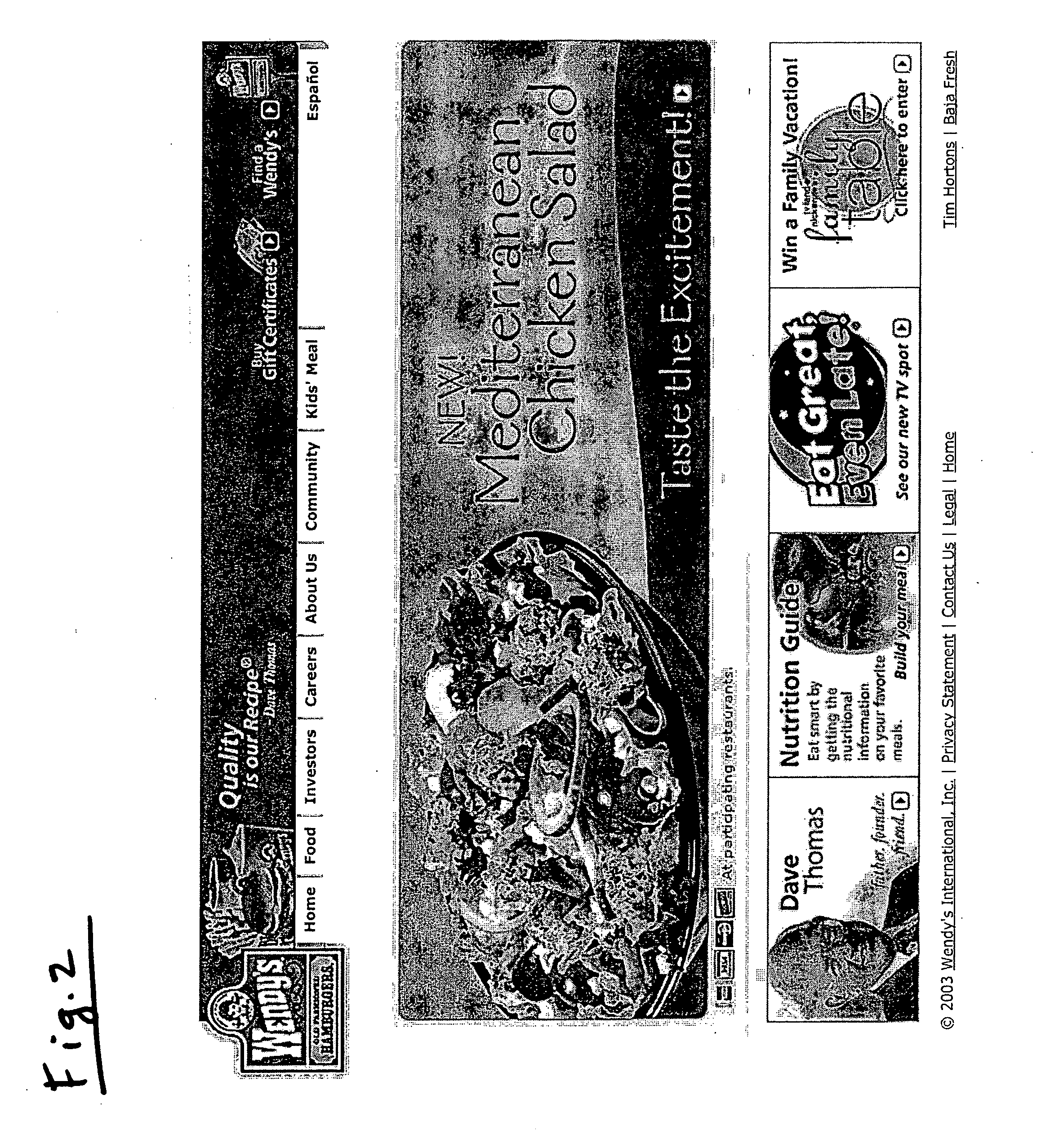 System and method for generating enhanced depiction of electronic files such as web files