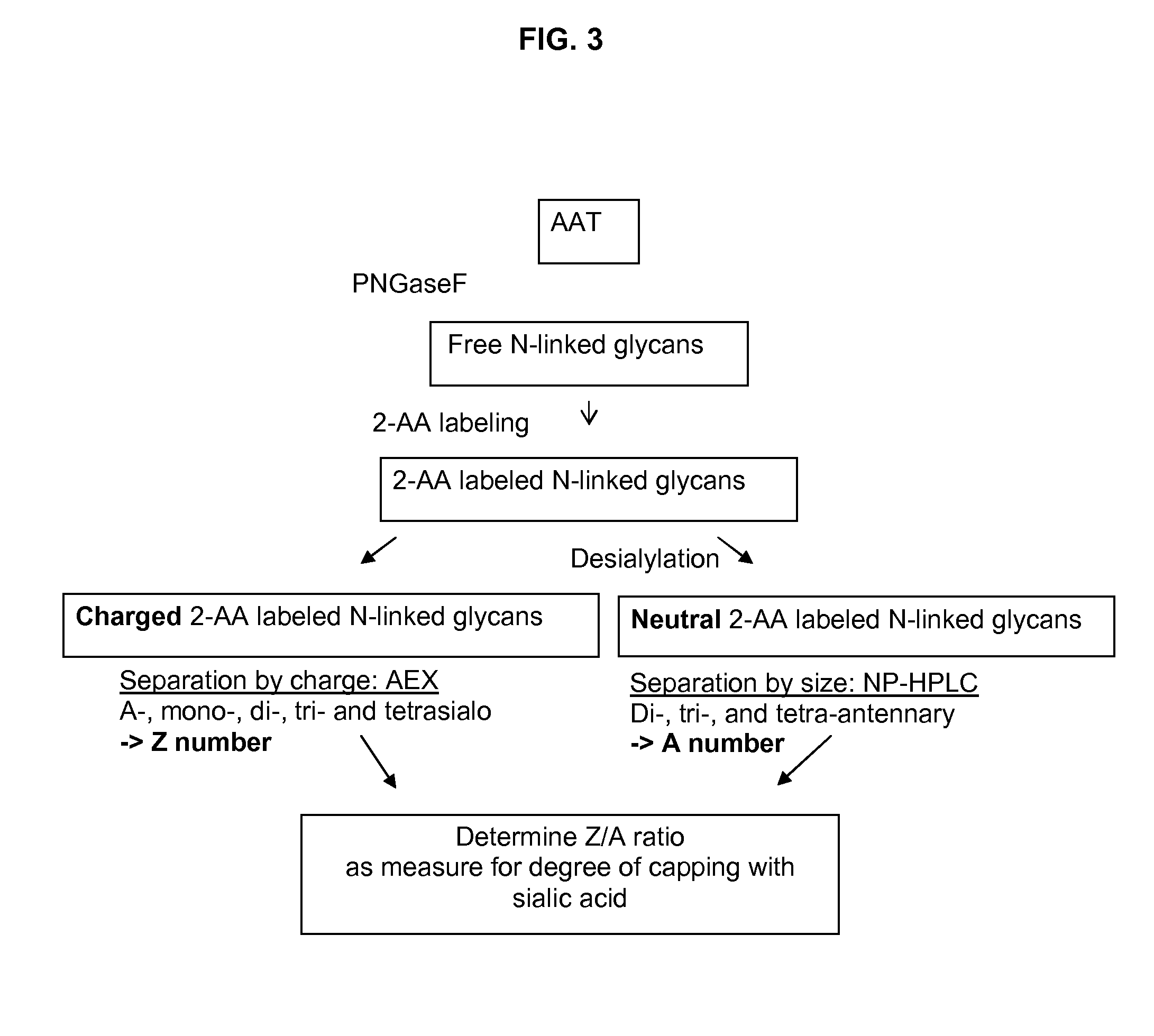 Recombinant human Alpha1-antitrypsin