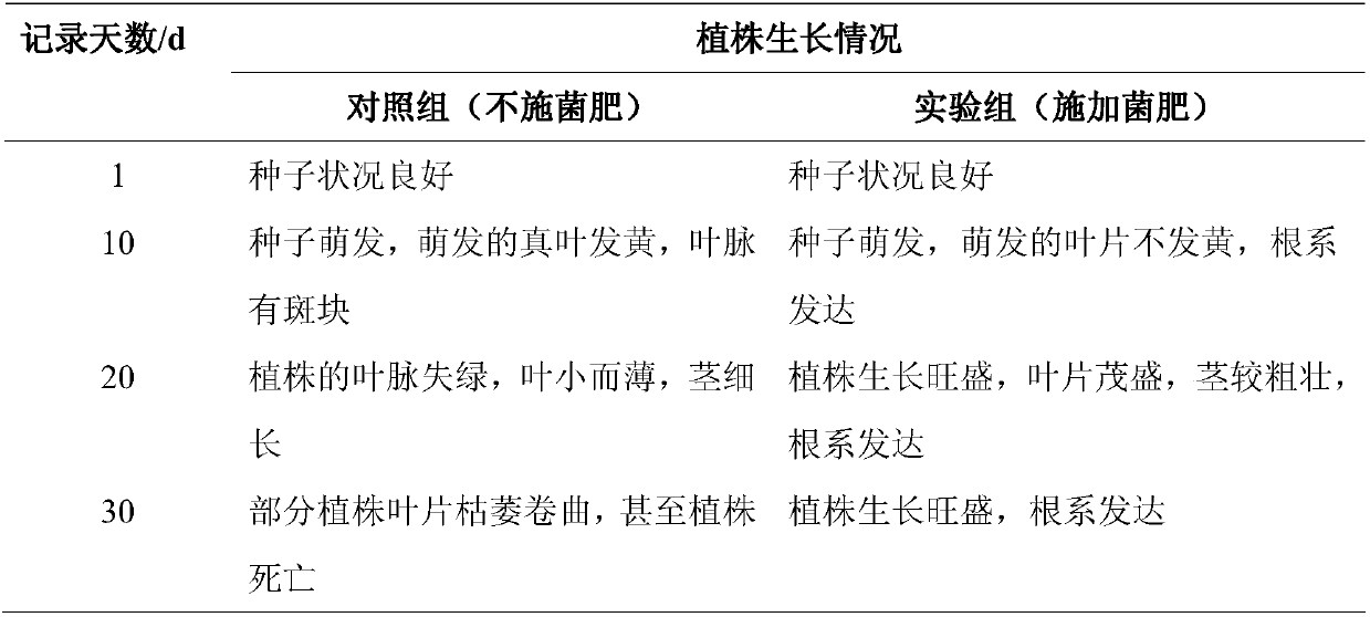 Preparation method of microbial bacterial fertilizer for promoting soybean rooting