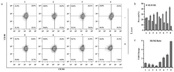 Application of programmable immunocompetence carbon fiber-molybdenum disulfide composite material in preparation of wound healing medicine