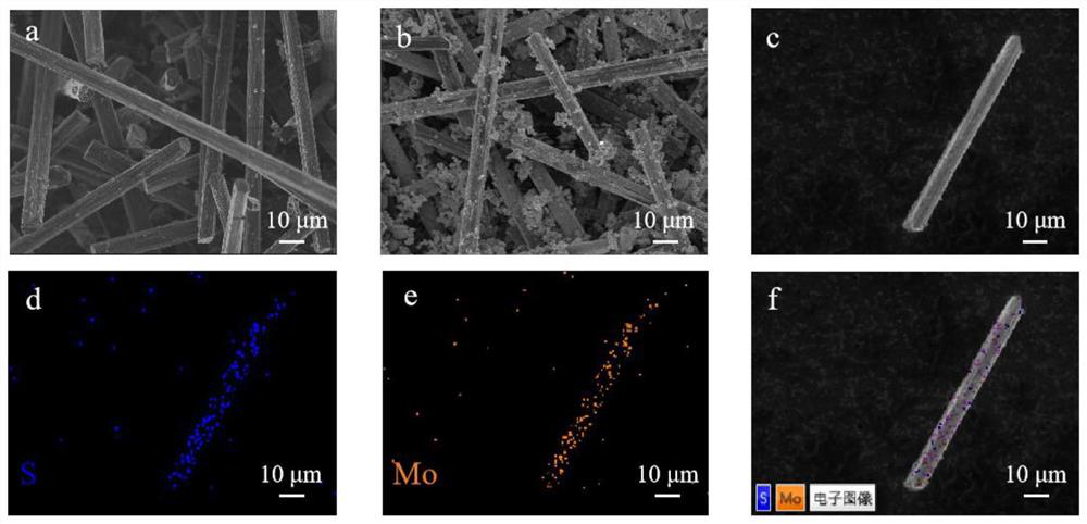 Application of programmable immunocompetence carbon fiber-molybdenum disulfide composite material in preparation of wound healing medicine