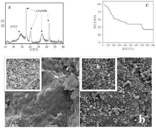Iron-based catalyst for strengthening ozone oxidation of organic pollutants and preparation method thereof