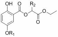 Novel gentisic acid derivatives (2-hydroxy-5-alkyl (H) oxo benzoates) as well as preparation method and new application thereof