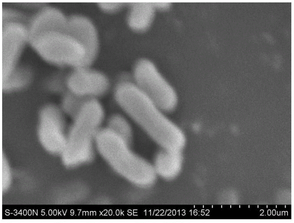 Lignocellulose substance efficient degradation bacterium K24 and application thereof