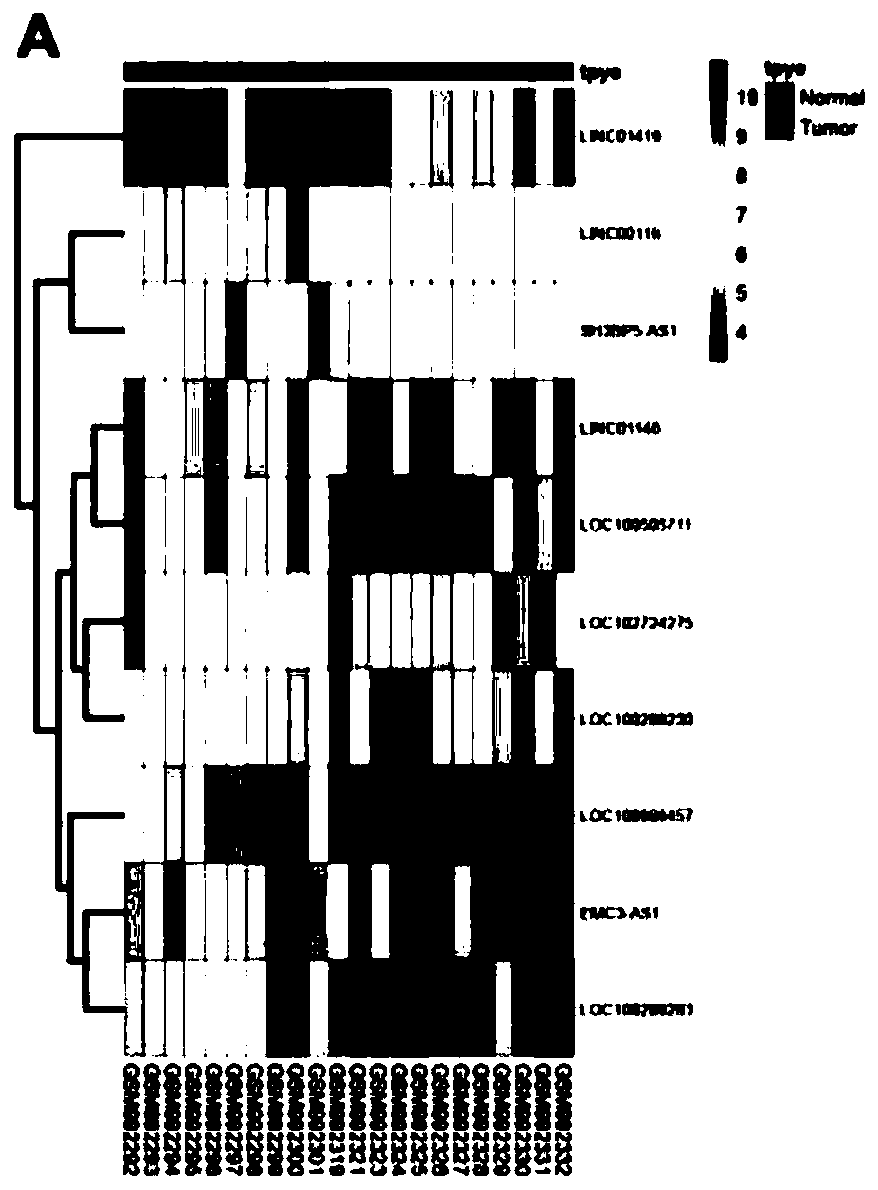 Application of LINC01419 as marker for diagnosing and treating hepatocellular carcinoma