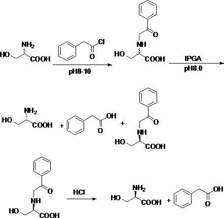 Chemical-enzymatic method for preparing D-serine