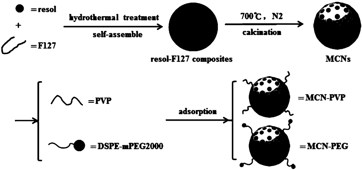 Mesoporous carbon nanoparticles and application thereof