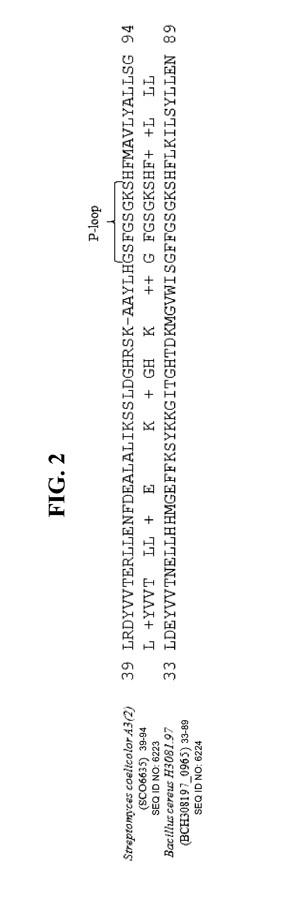 Polynucleotides encoding brex system polypeptides and methods of using same