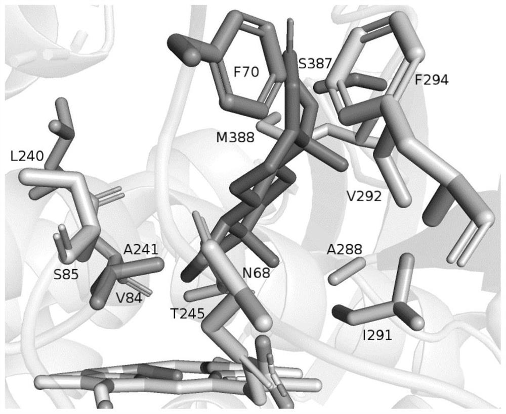 Cytochrome P450 monooxygenase CYP109B2 mutant and application thereof