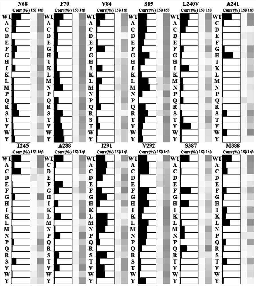 Cytochrome P450 monooxygenase CYP109B2 mutant and application thereof