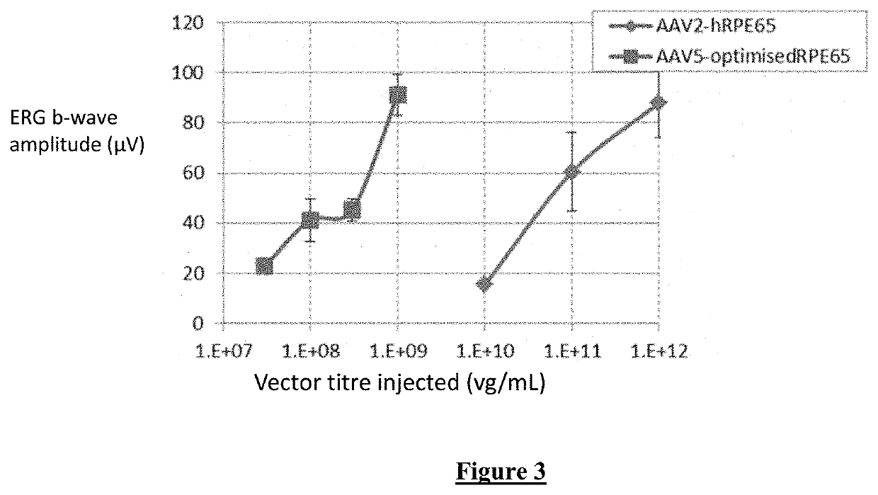 Optimized RPE65 Promoter and Coding Sequences