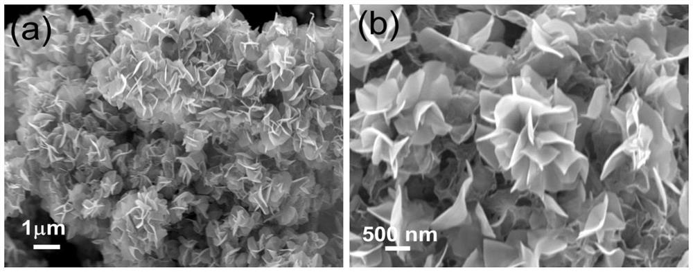 Membrane functional material for improving performance of lithium metal battery as well as preparation and application of membrane functional material