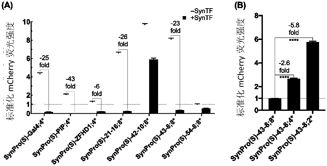 Single-input multi-output gene loop, expression vector, host cell and application of host cell