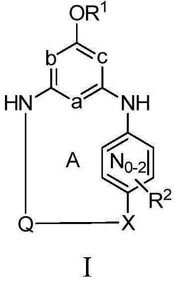 Macrocyclic compounds as HCV entry inhibitors