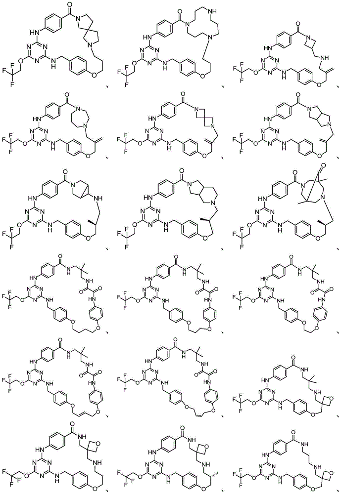 Macrocyclic compounds as HCV entry inhibitors