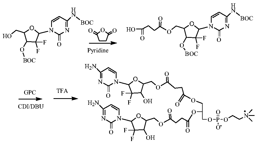 A kind of phospholipid compound of hydrophilic drug, its pharmaceutical composition and application