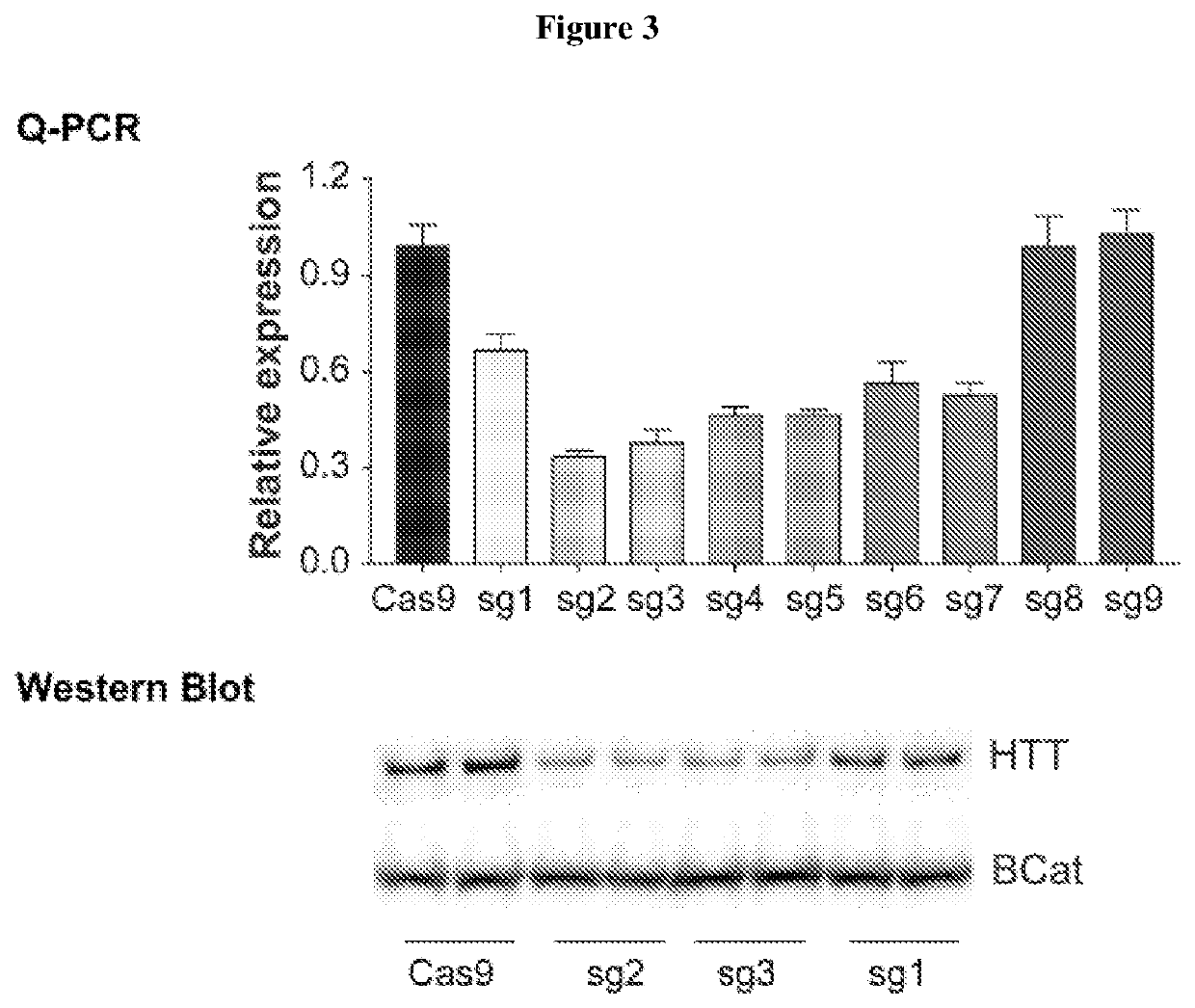 Crispr interference based htt allelic suppression and treatment of huntington disease