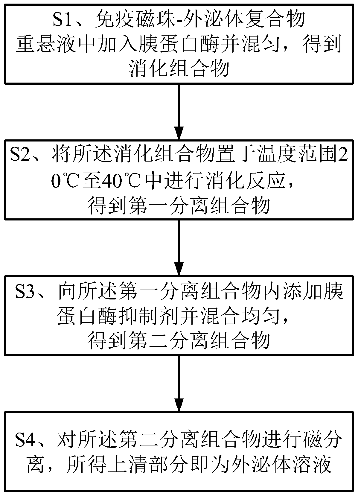 Immunomagnetic bead separation method capable of obtaining complete exosomes