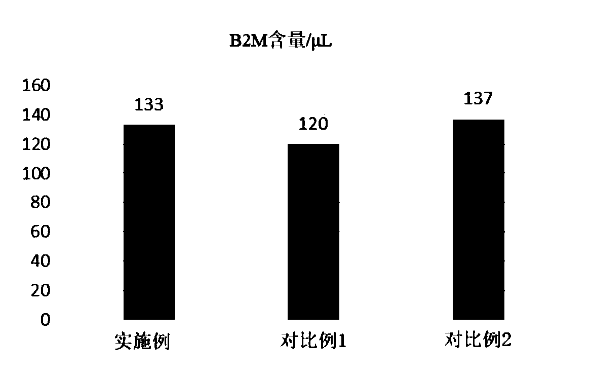 Immunomagnetic bead separation method capable of obtaining complete exosomes