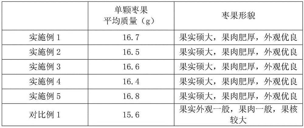 Planting method of Dongmei date trees