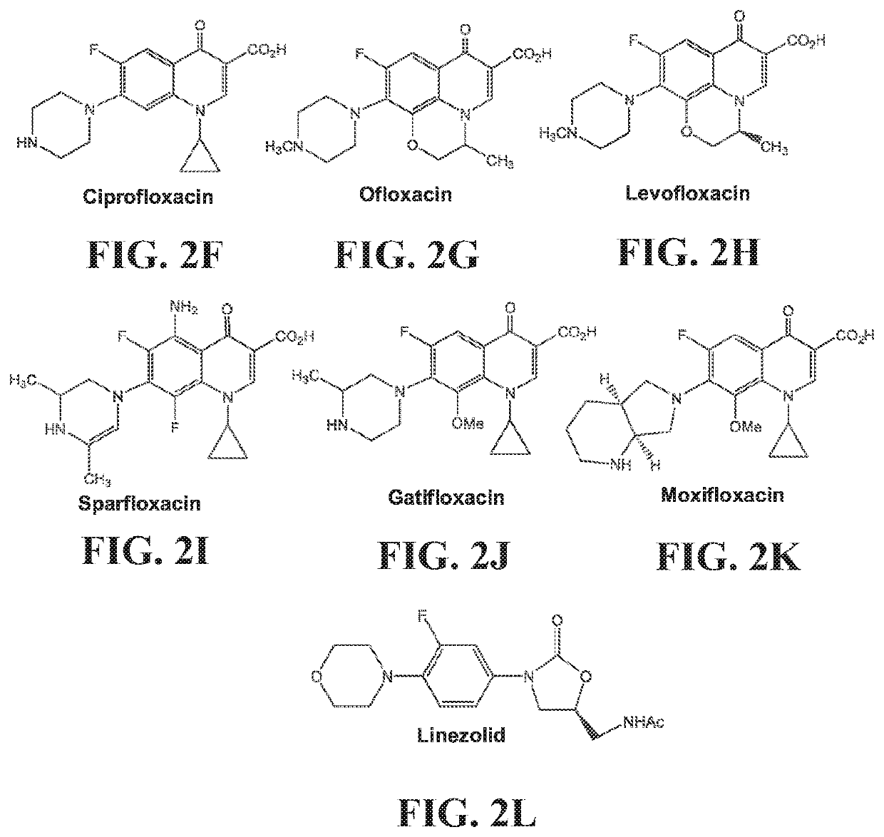 Pharmaceutical composition, use of mefloquine in fixed dose, and method for treating tuberculosis