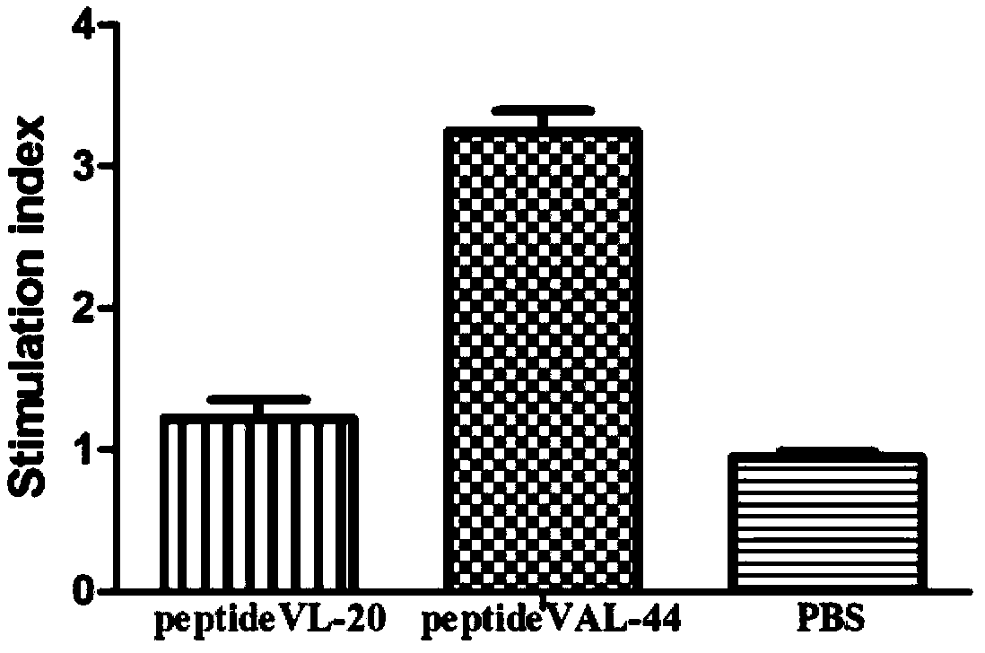 HCV (hepatitis C virus) poly-epitope peptide vaccine and application thereof