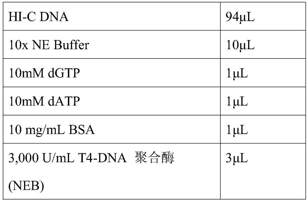 Bacterial HI-C genome and plasmid conformation capturing method