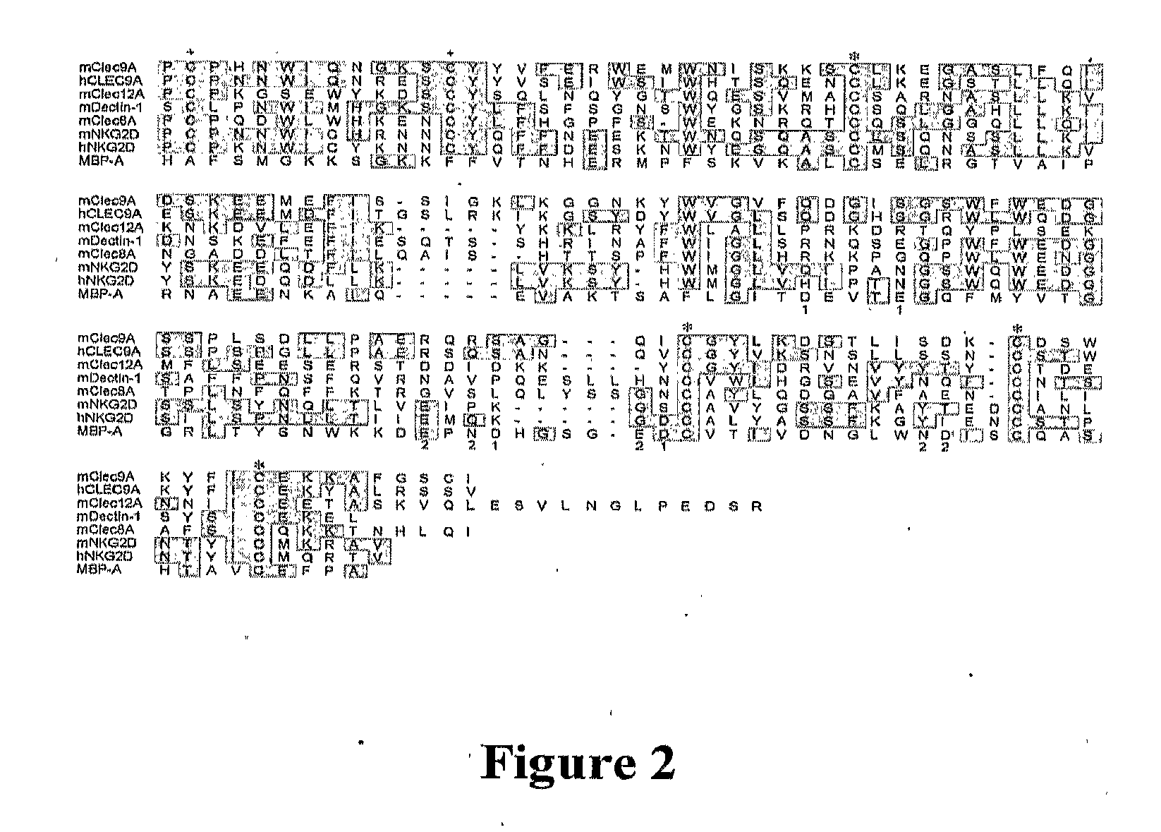 Compounds and Methods for Modulating an Immune Response