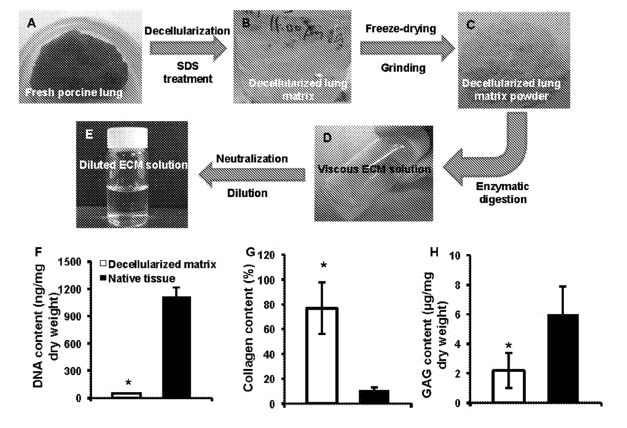 Nanoparticles containing extracellular matrix for drug delivery