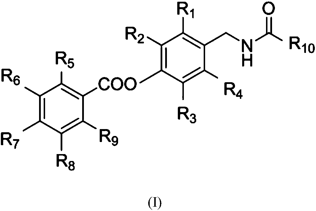 Salicylic acid-containing capsaicin ester derivative, preparation method and application