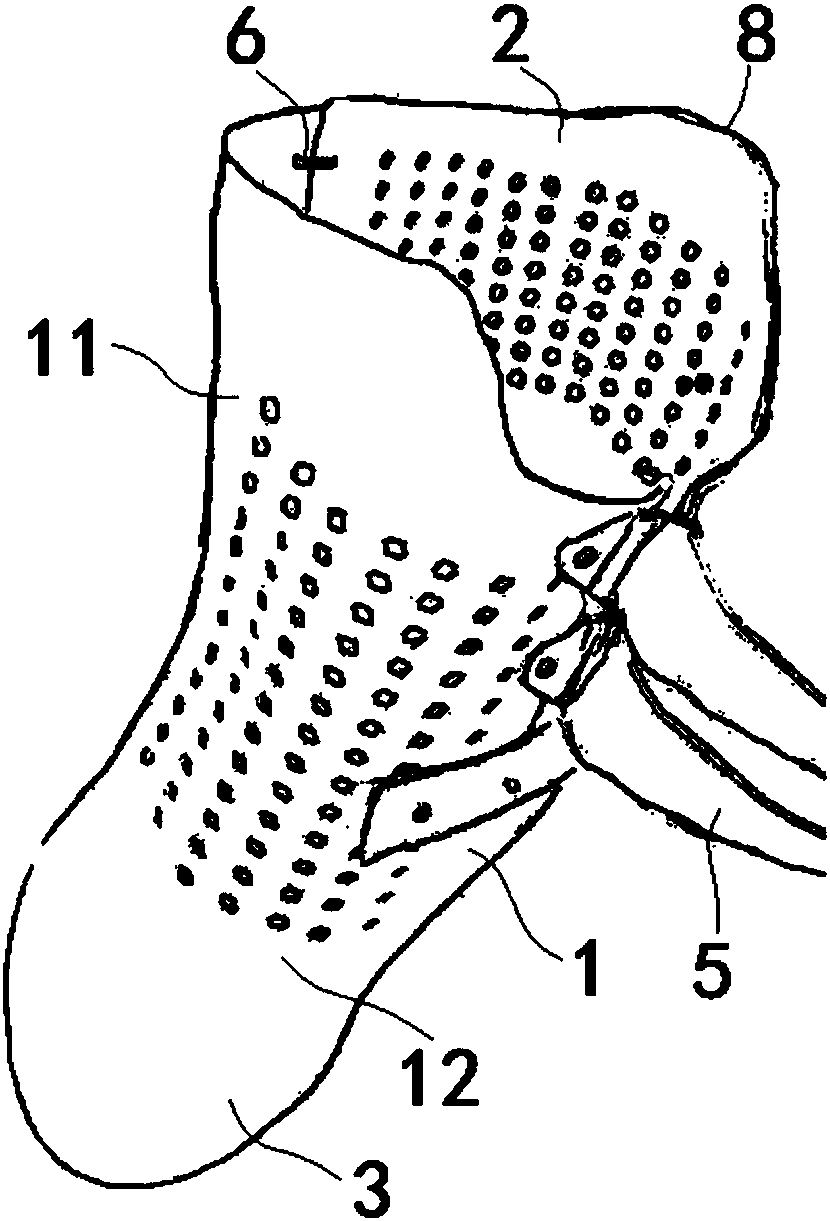 Nighttime human scoliosis orthopedic support and design method thereof